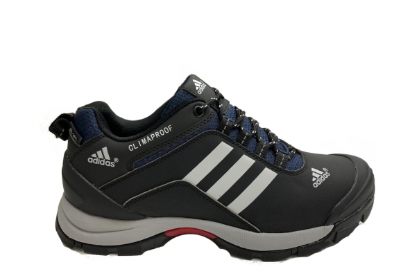 Кроссовки Adidas Terrex Climaproof Серо-синие