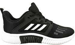 Кроссовки Adidas Terrex Climacool Vent Black/White