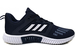Кроссовки Adidas Terrex Climacool Vent Dark Blue